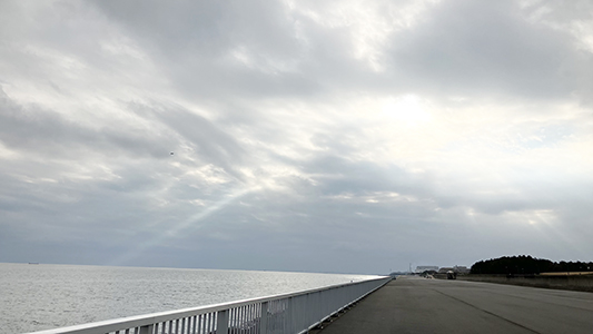 浦安市総合公園