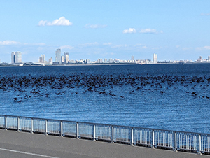 浦安市総合公園