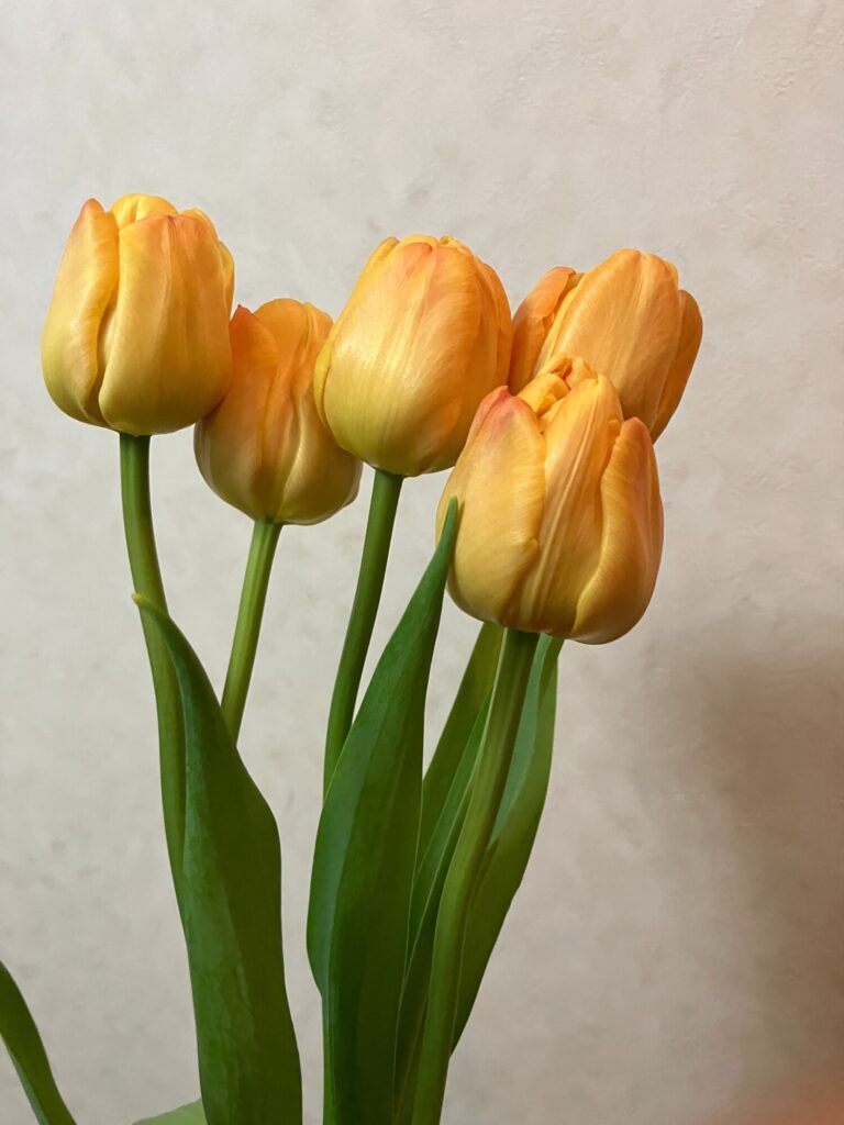 image_meiko-staff_1A-00073-