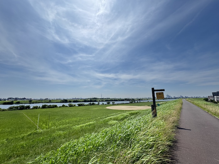 江戸川河川敷