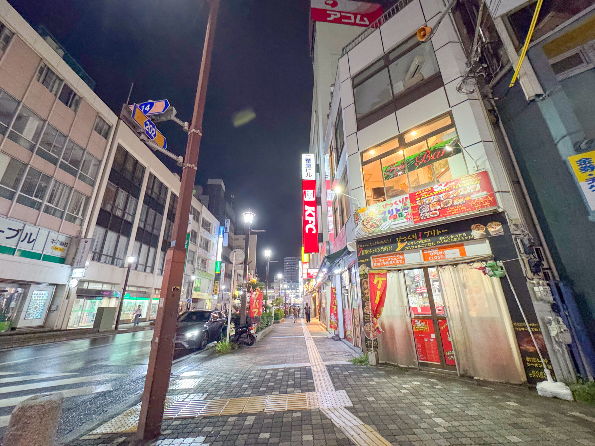 パラダイスケバブ