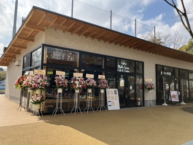 サフラン 西葛西