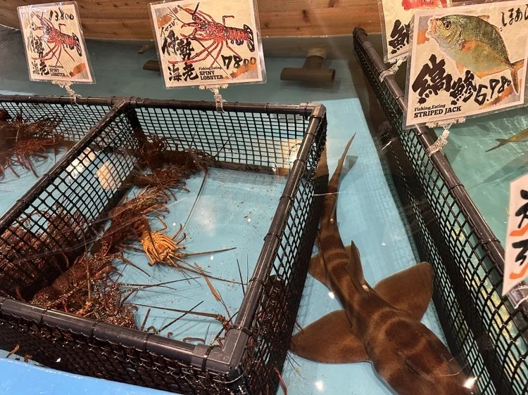 釣船茶屋ざうお