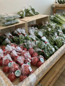 道の駅いちかわで購入した新鮮野菜