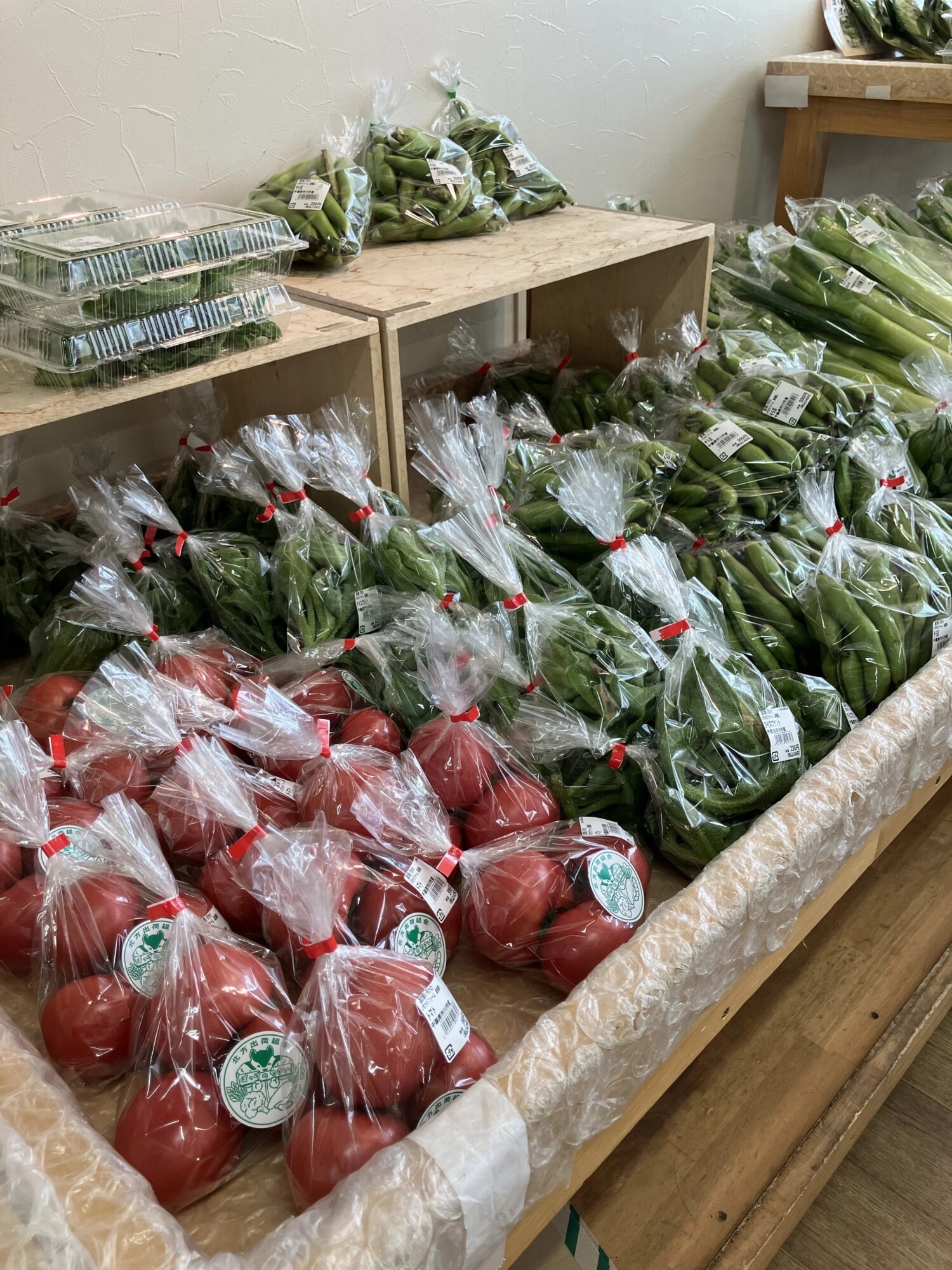 道の駅いちかわで購入した新鮮野菜