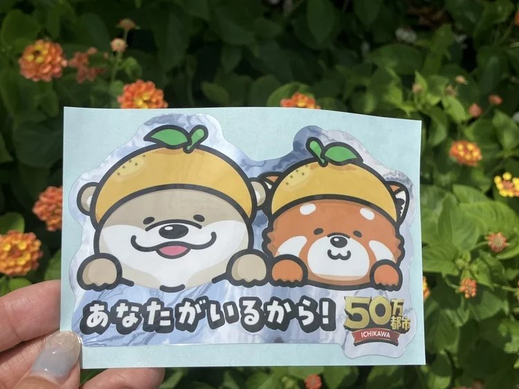 市川市人口50万人到達記念シール いっち かっち