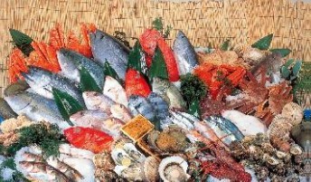 魚力