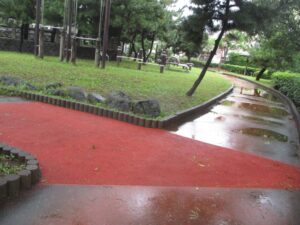 整備された南行徳公園の遊歩道