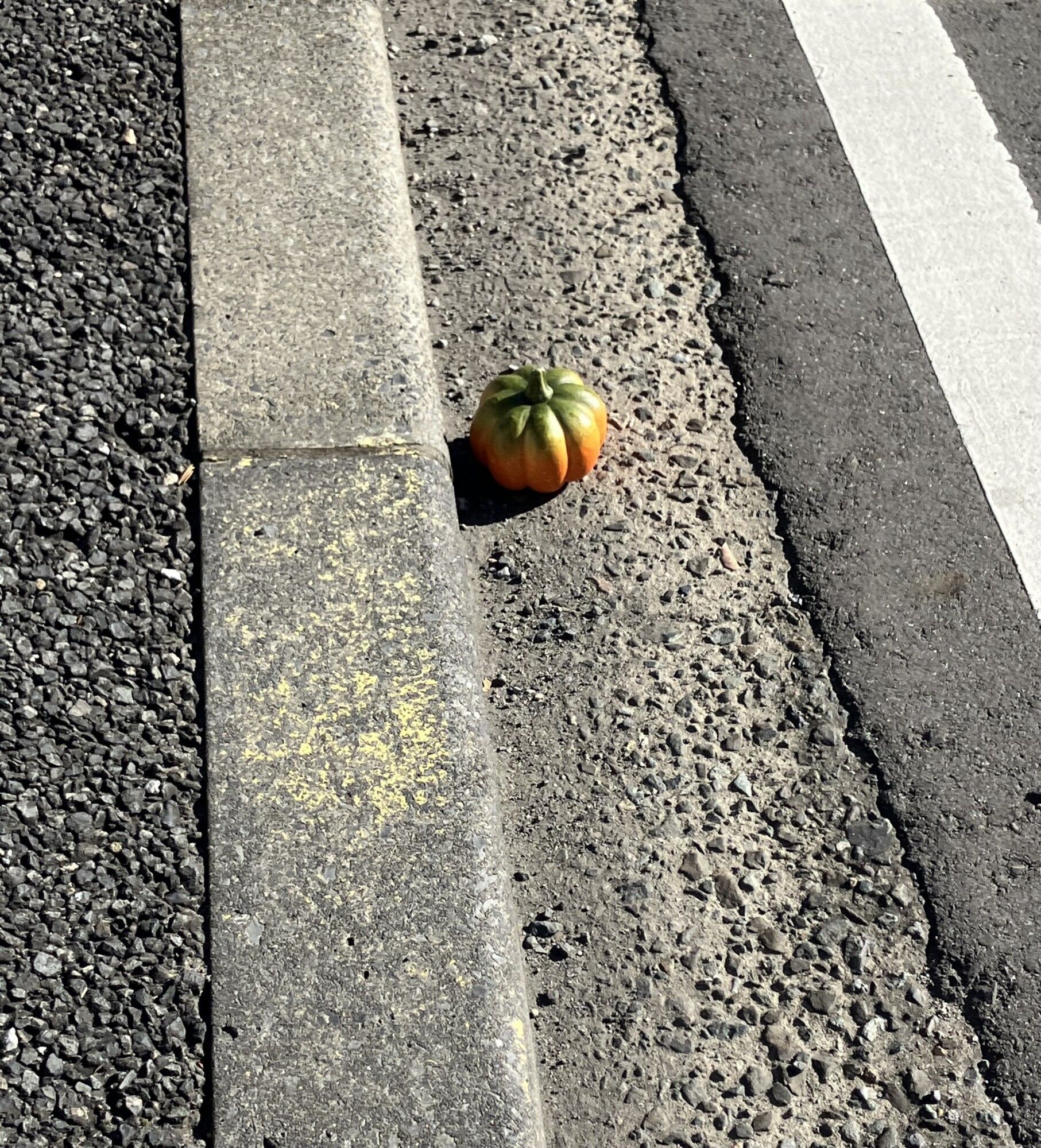 ハロウィン⁉　かわいいカボチャの落とし物