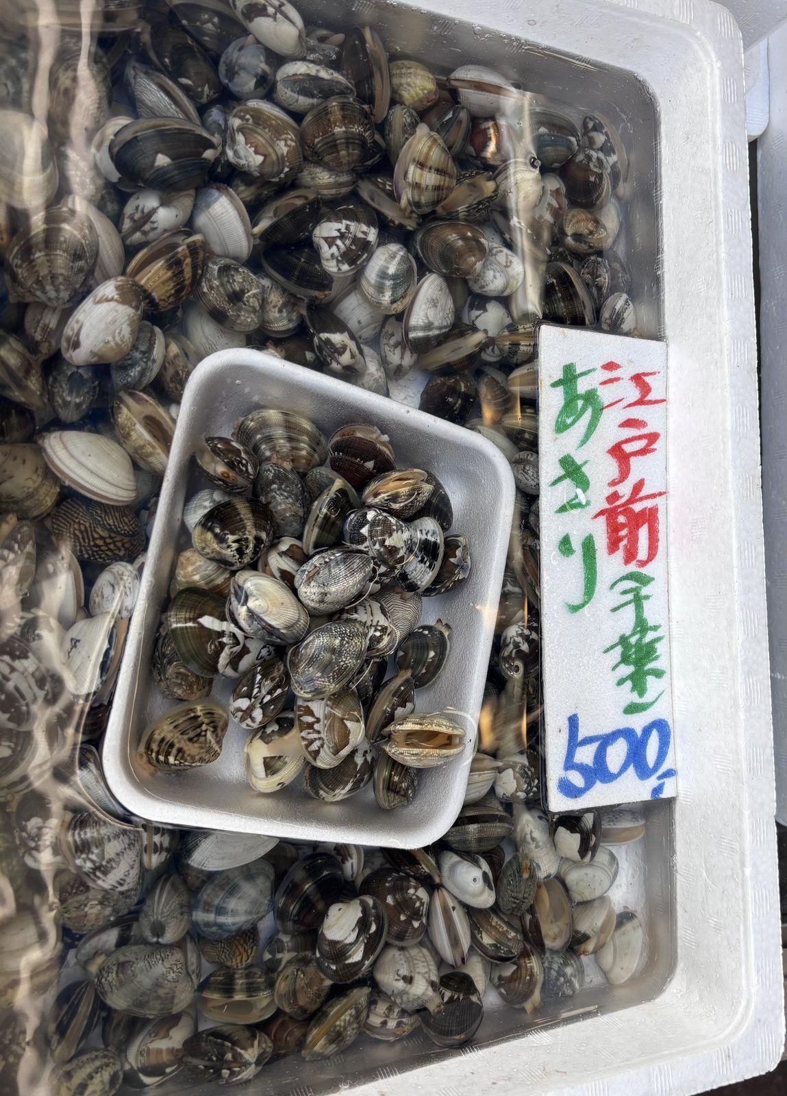 【商店街食べ歩きグルメ】市川・宮久保で40年!マグロのブツがお買い得な「すがわら鮮魚店」