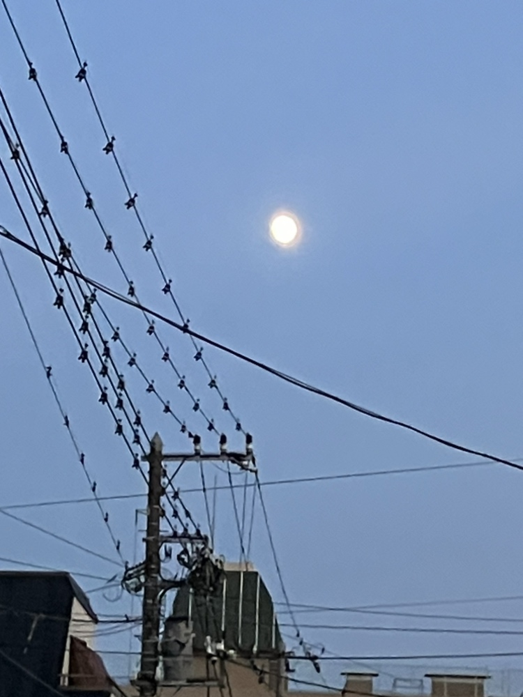 8月26日の月は満ちゆく十三夜月。