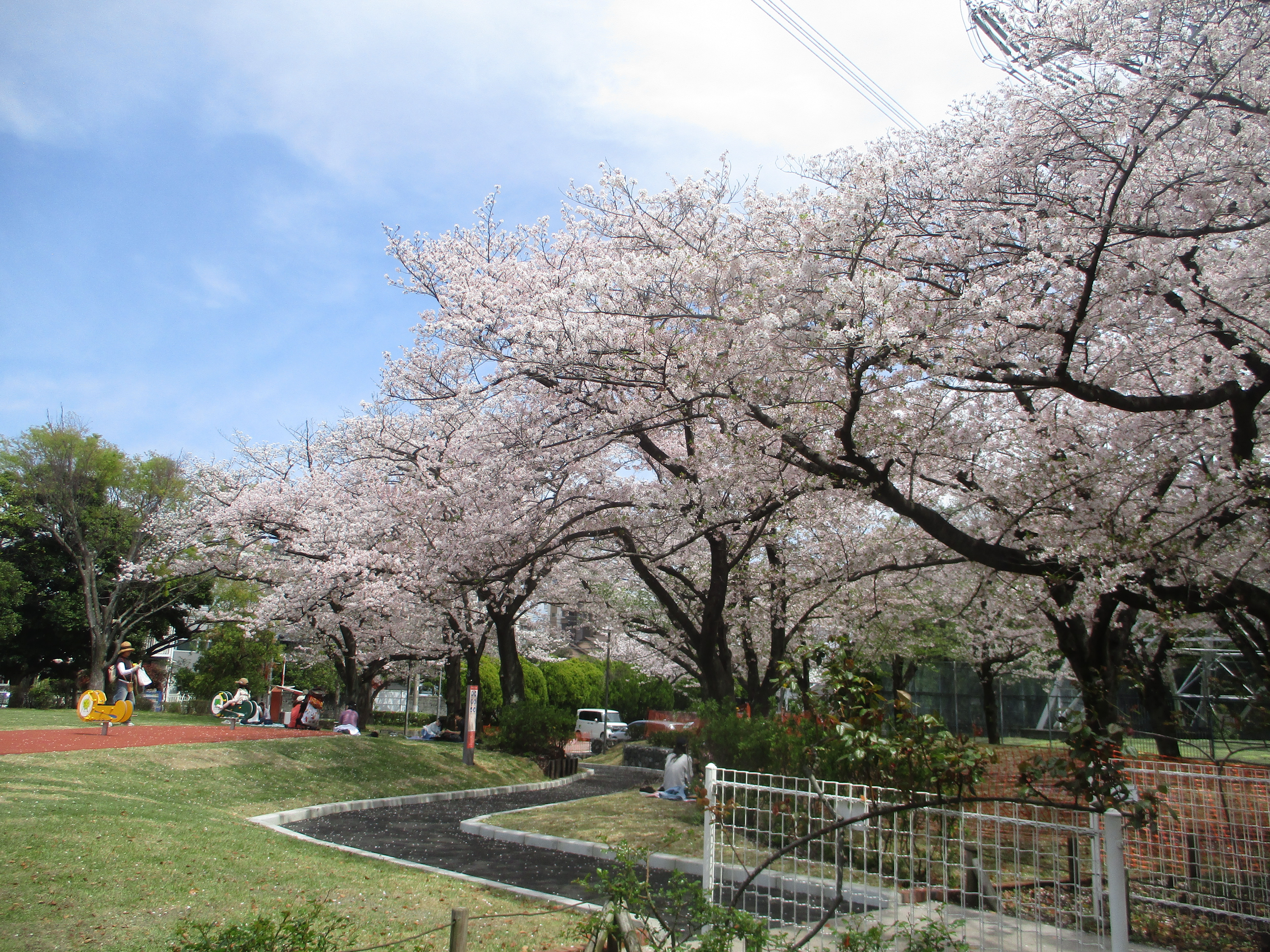 葛西総合リクリエーション公園・フラワーガーデン、富士公園オープン