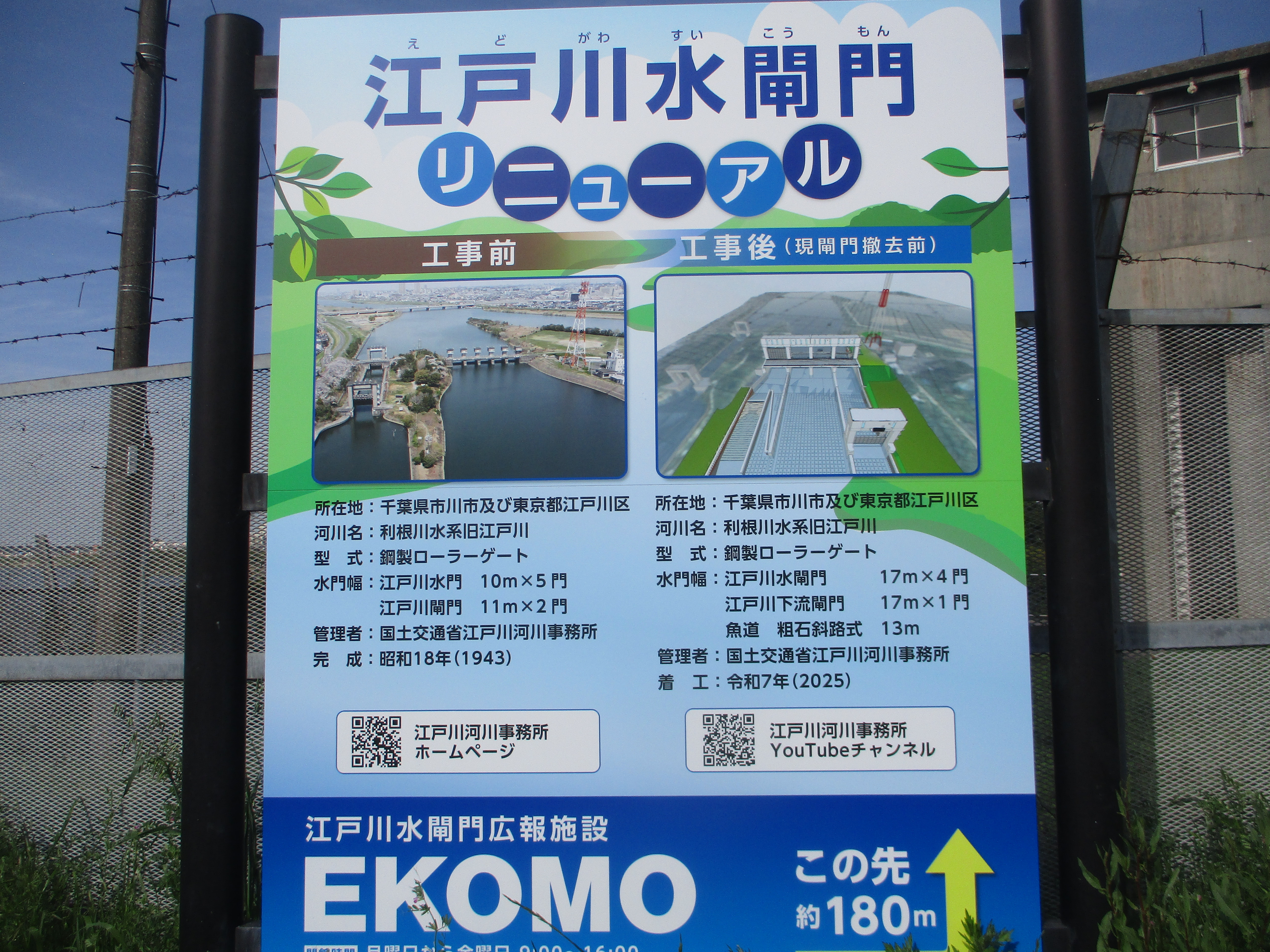 江戸川水閘門改築工事中