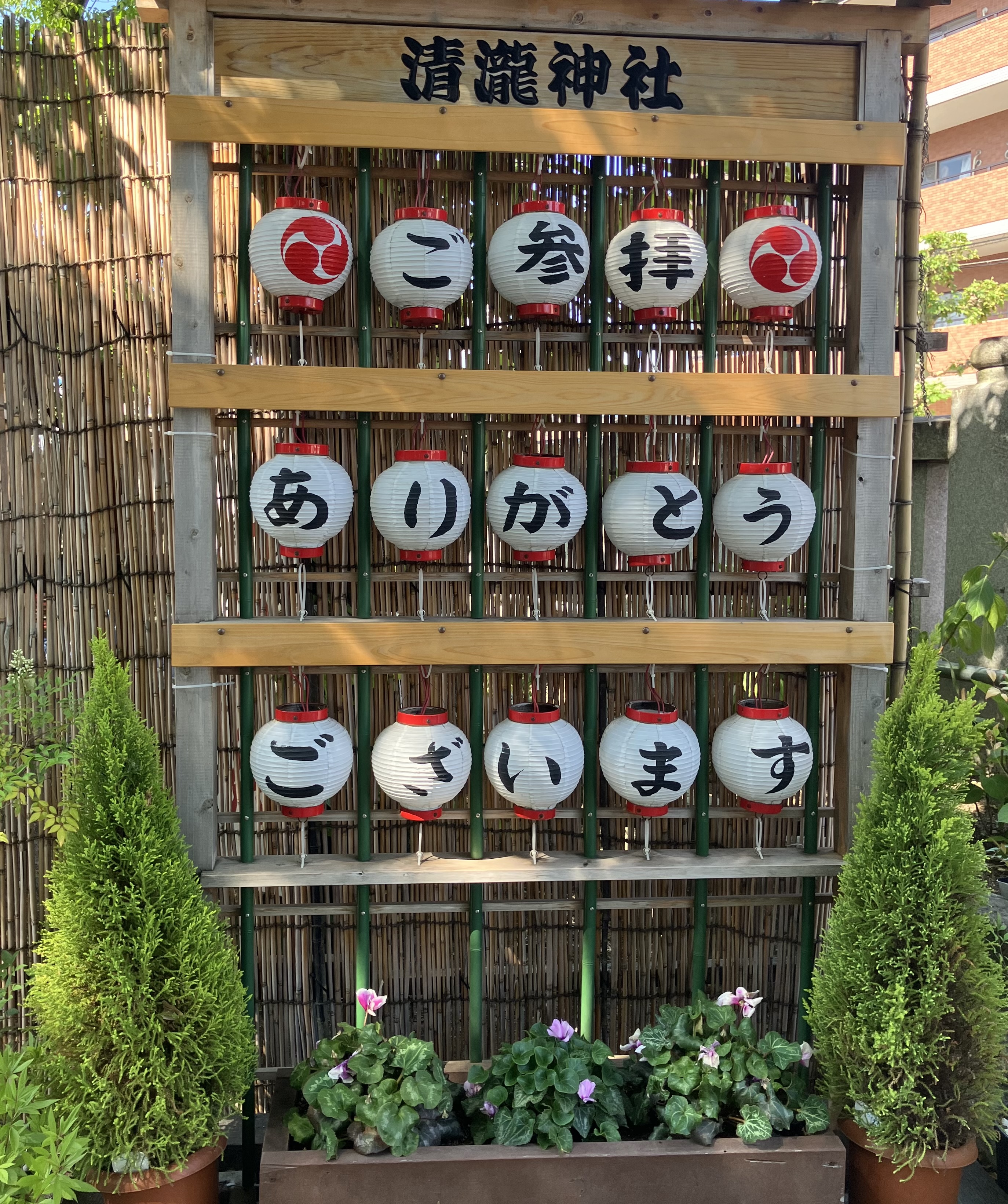 新緑の清瀧神社