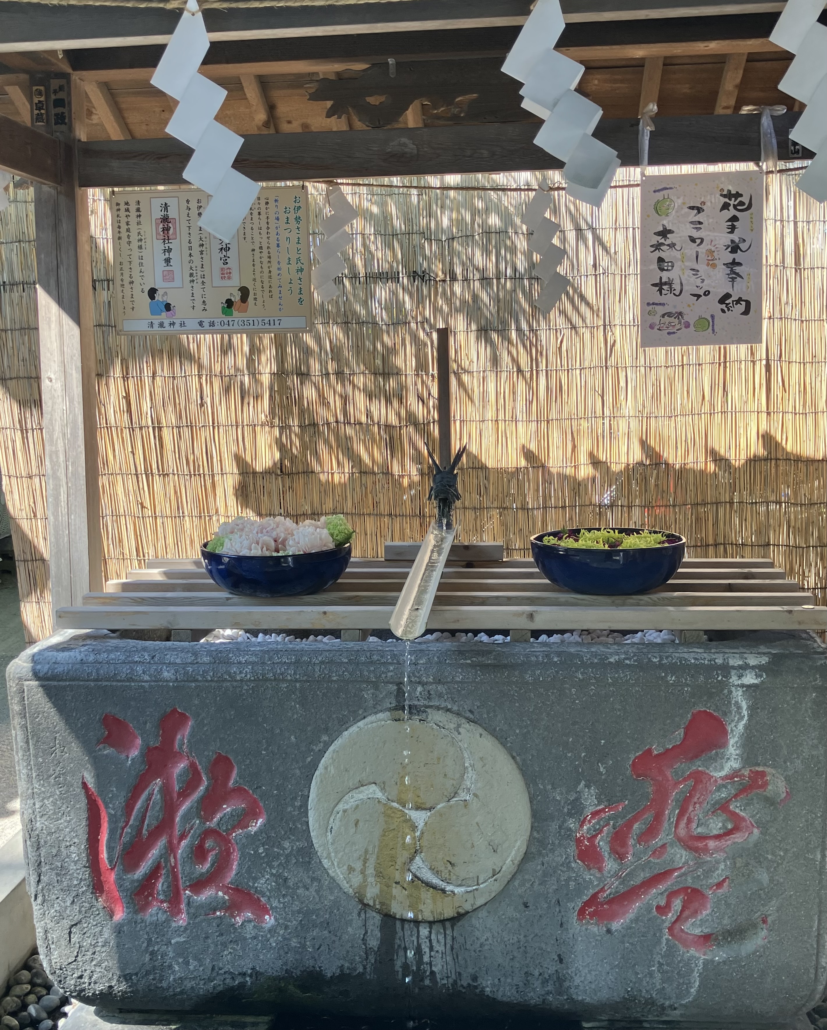 新緑の清瀧神社