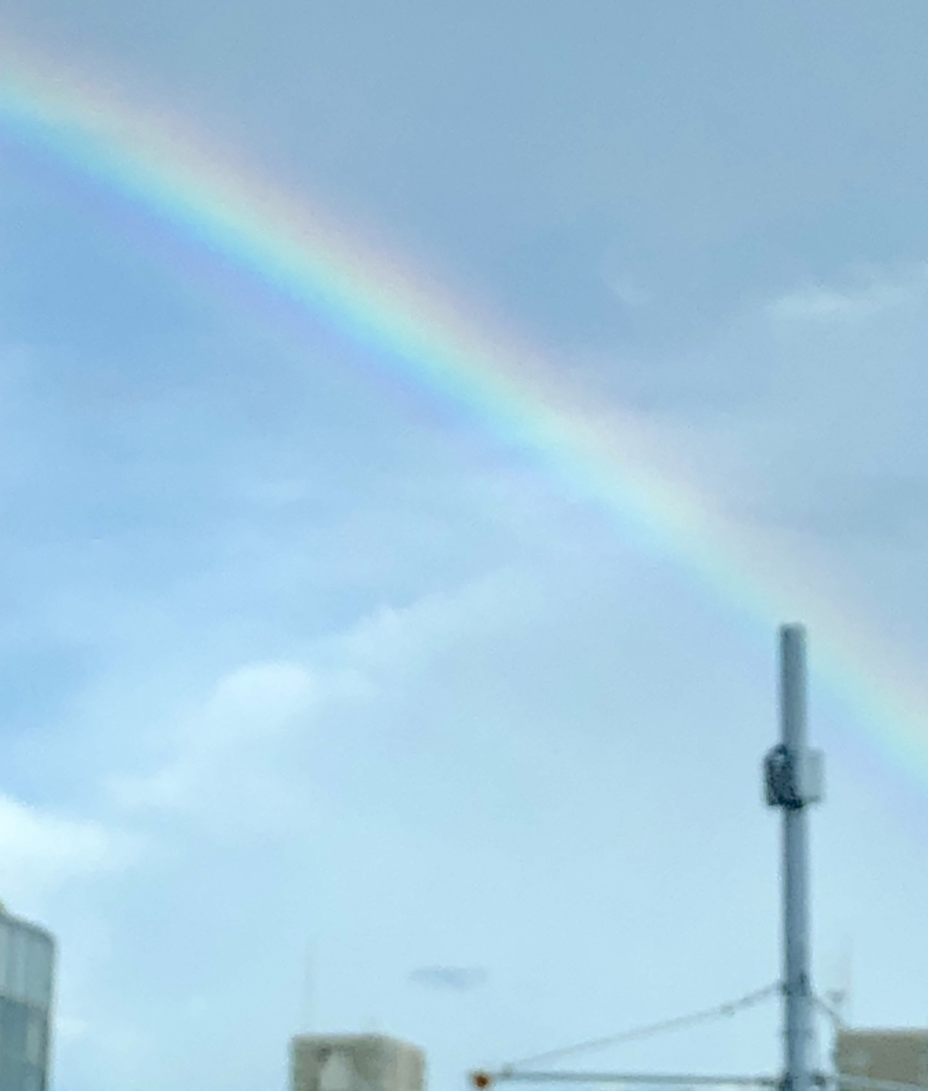 夕方の空に架かった大きな虹