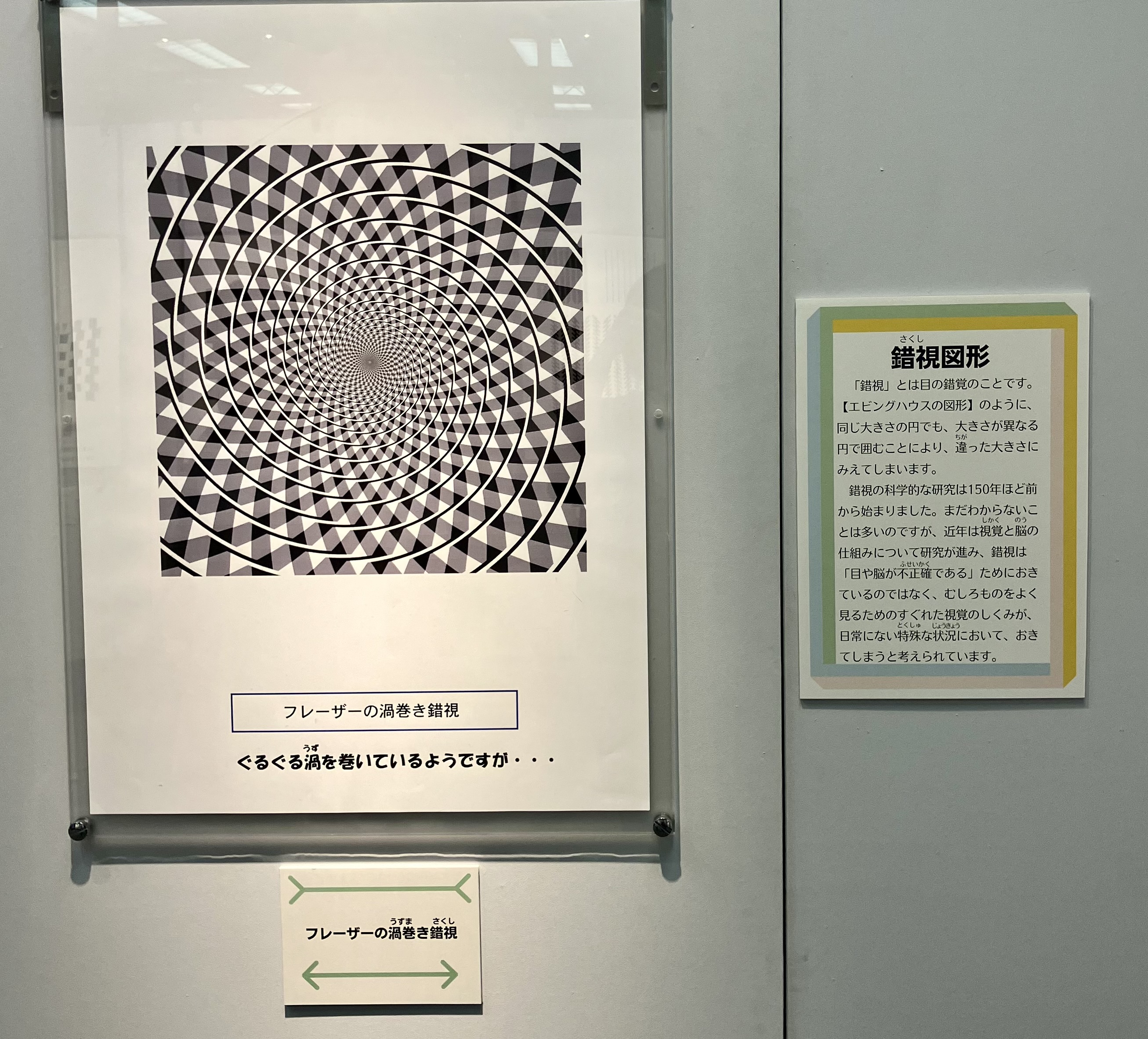 千葉県立現代産業科学館の特設コーナー「見え方のふしぎ」（2）