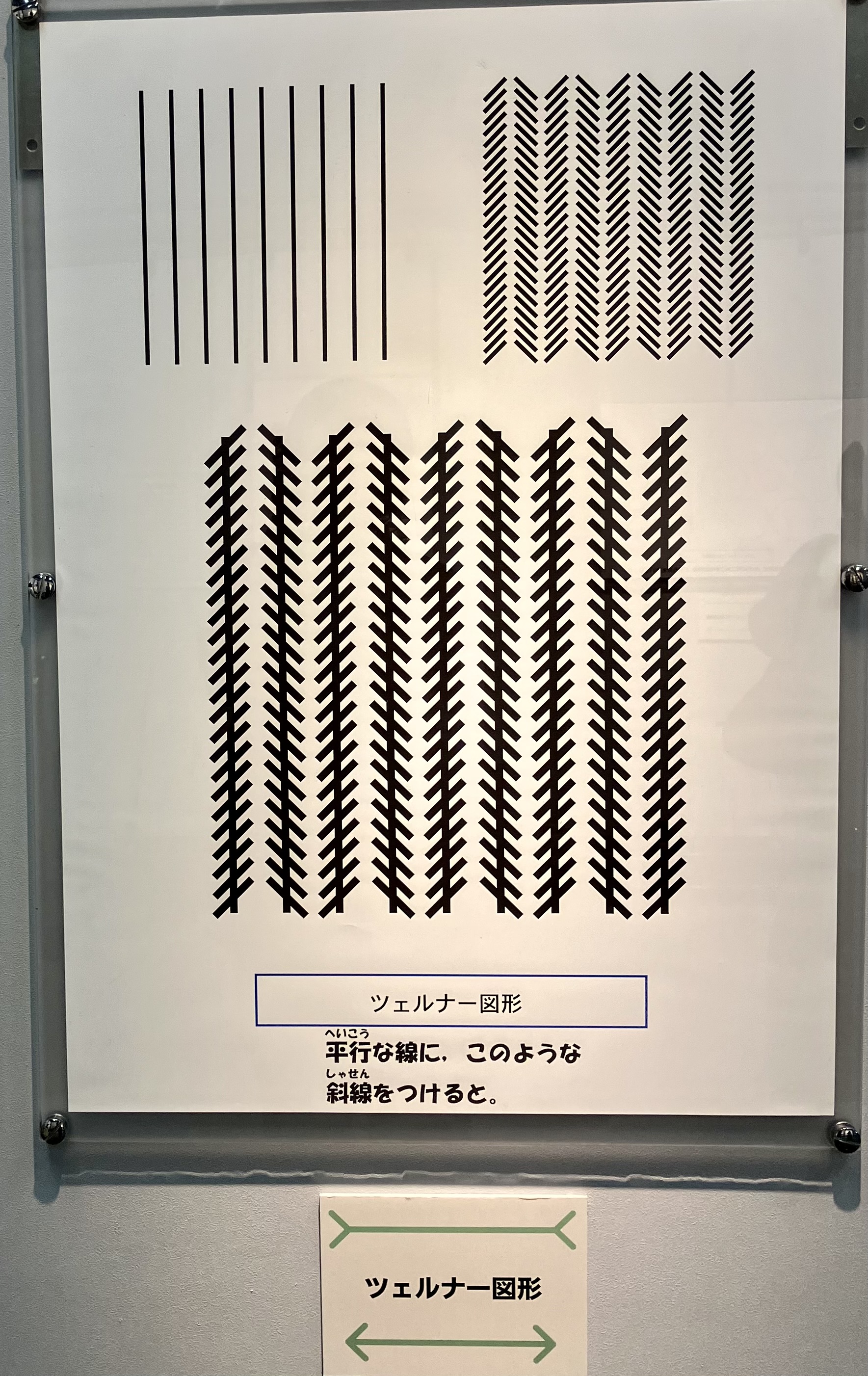 千葉県立現代産業科学館の特設コーナー「見え方のふしぎ」