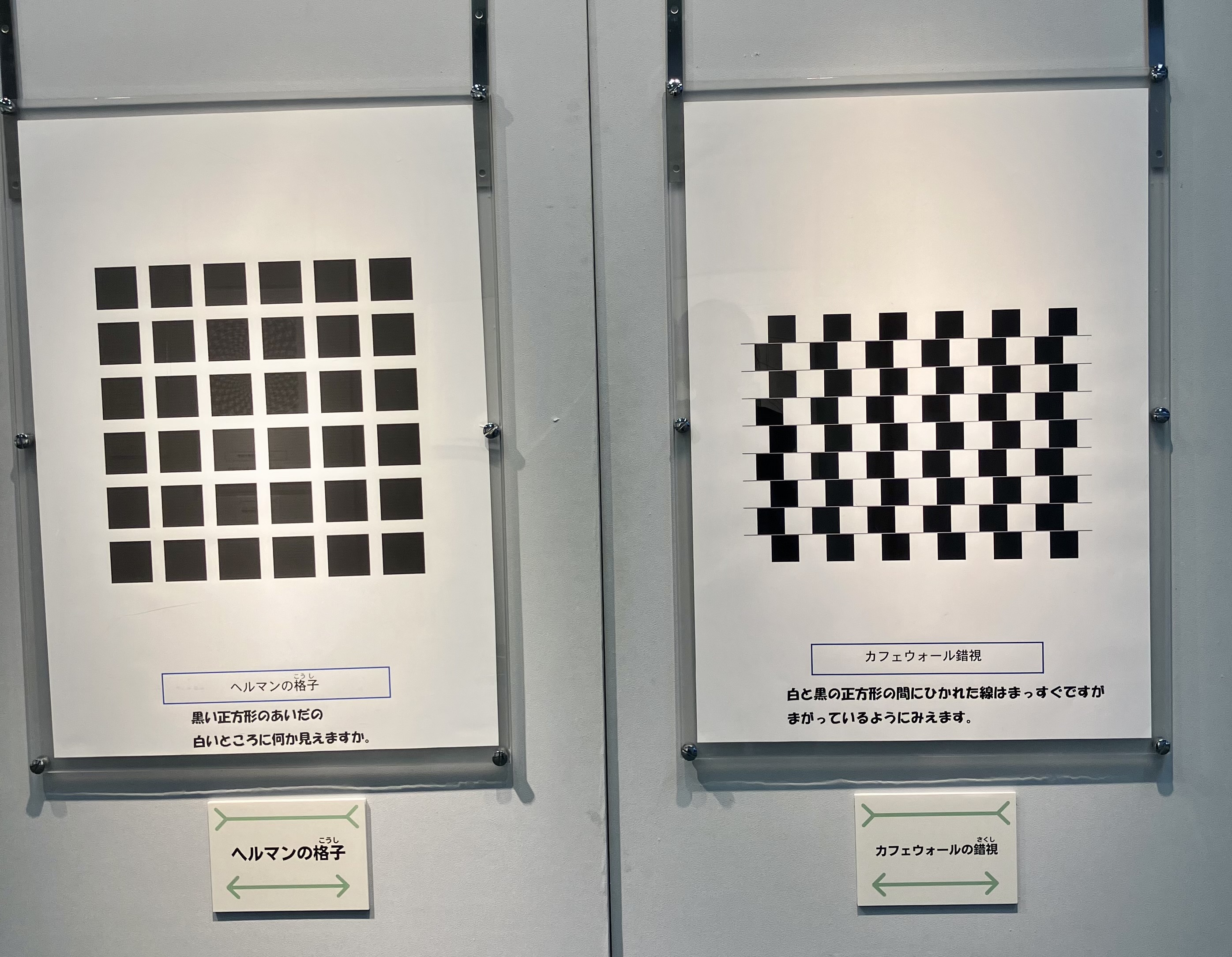 千葉県立現代産業科学館の特設コーナー「見え方のふしぎ」（3）