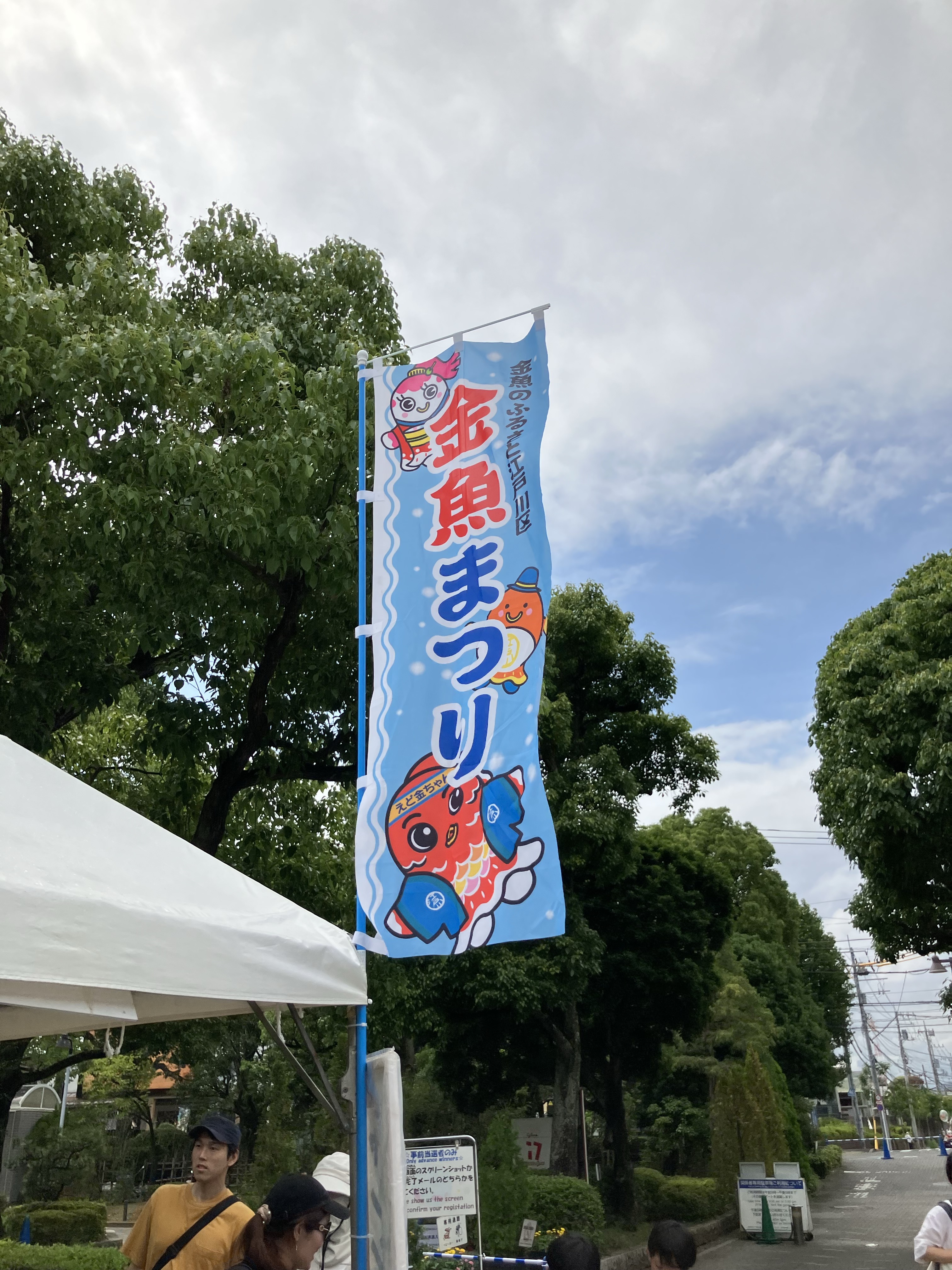 金魚すくいの様子