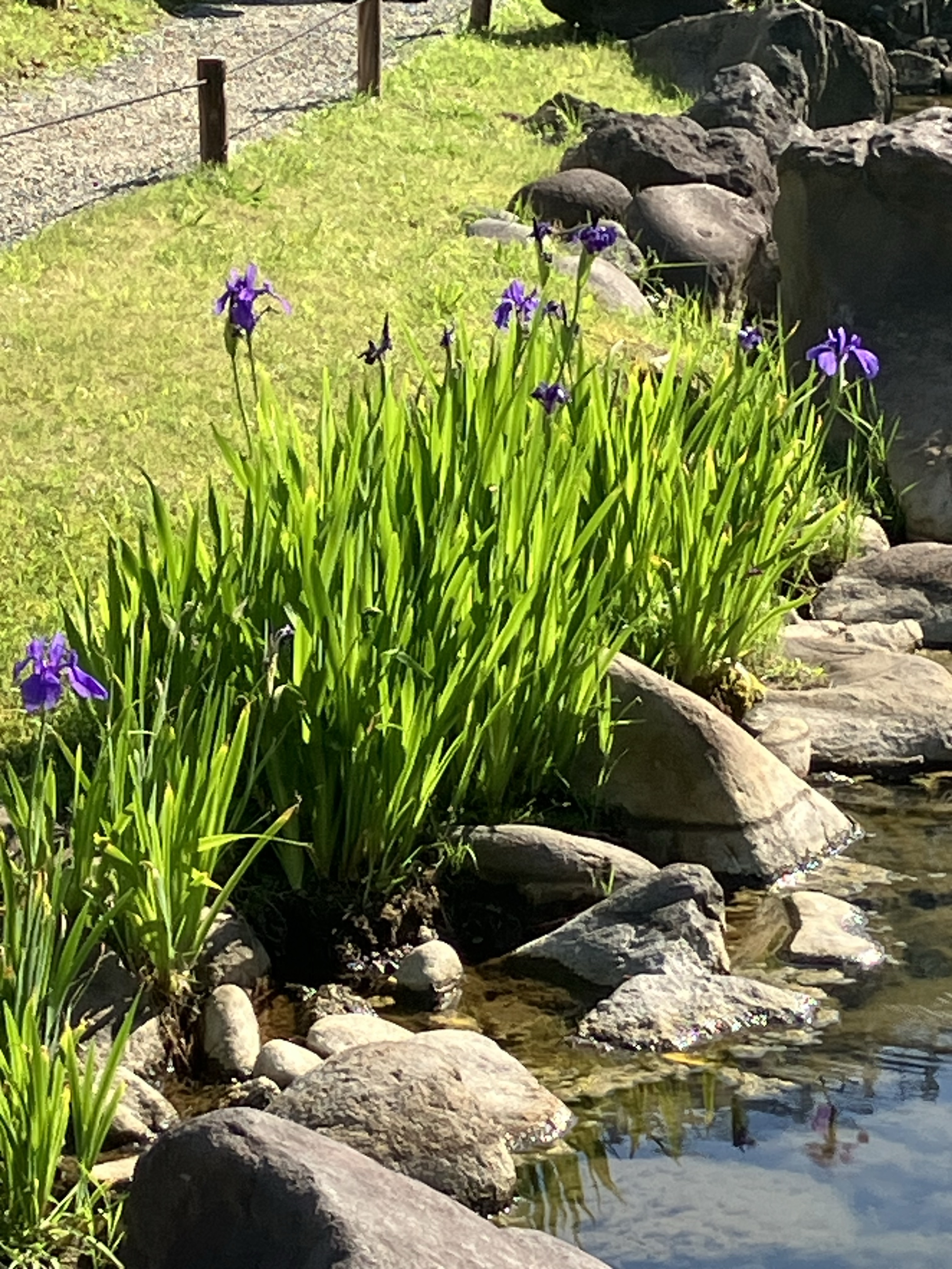 旧芝離宮恩賜庭園の風景