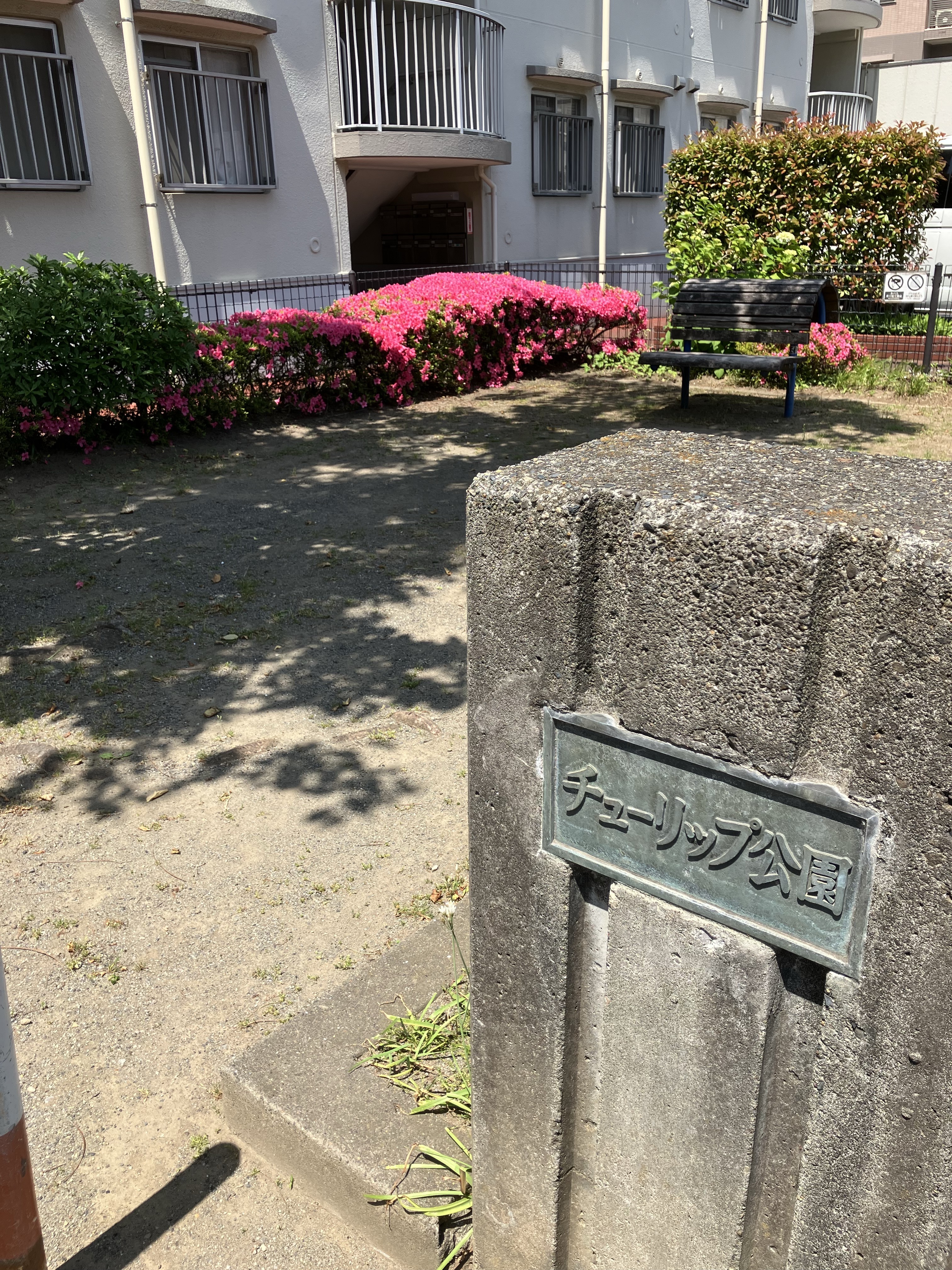 チューリップ公園のつつじ