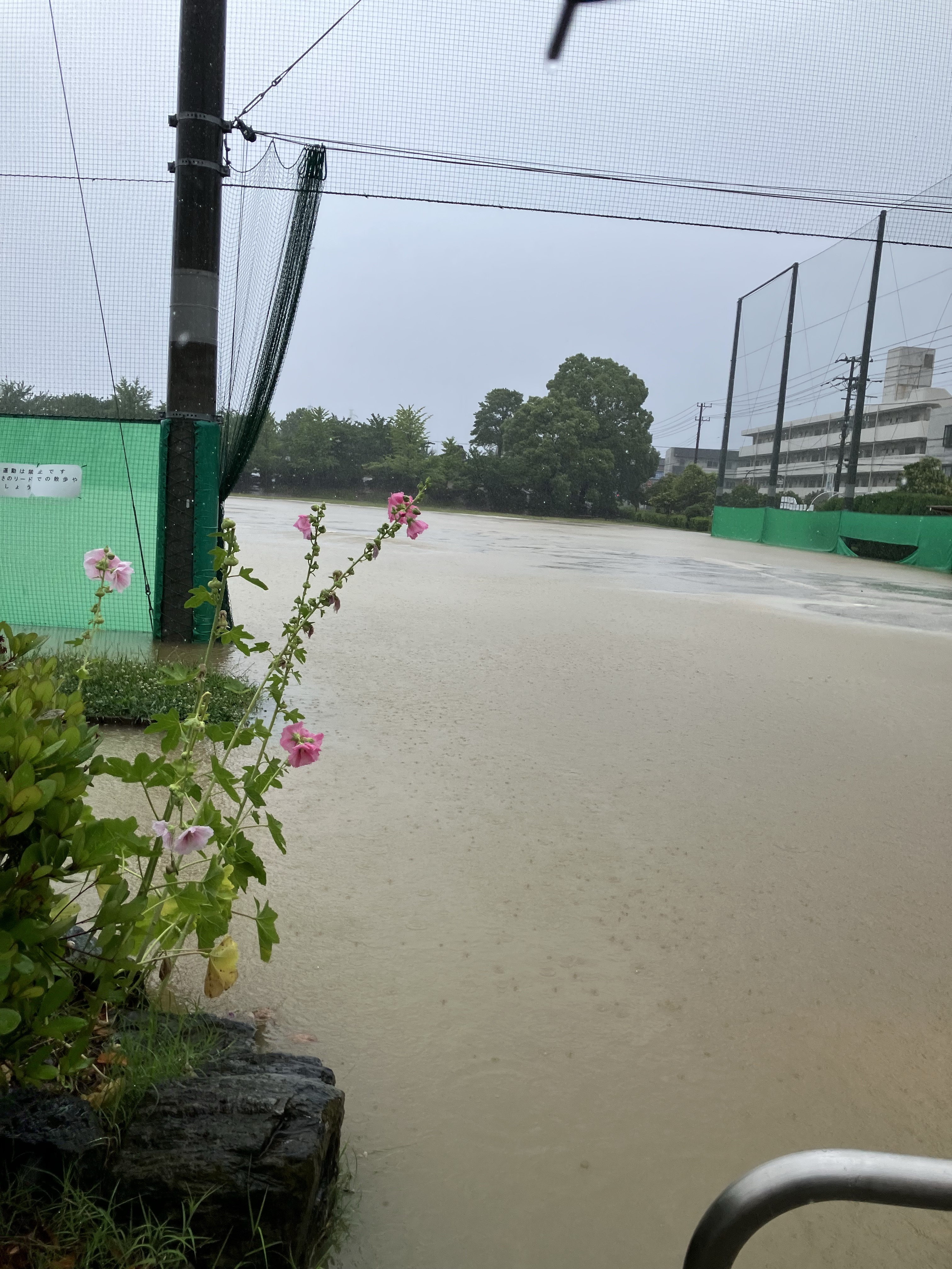 南行徳公園（えんぴつ公園）のグラウンド