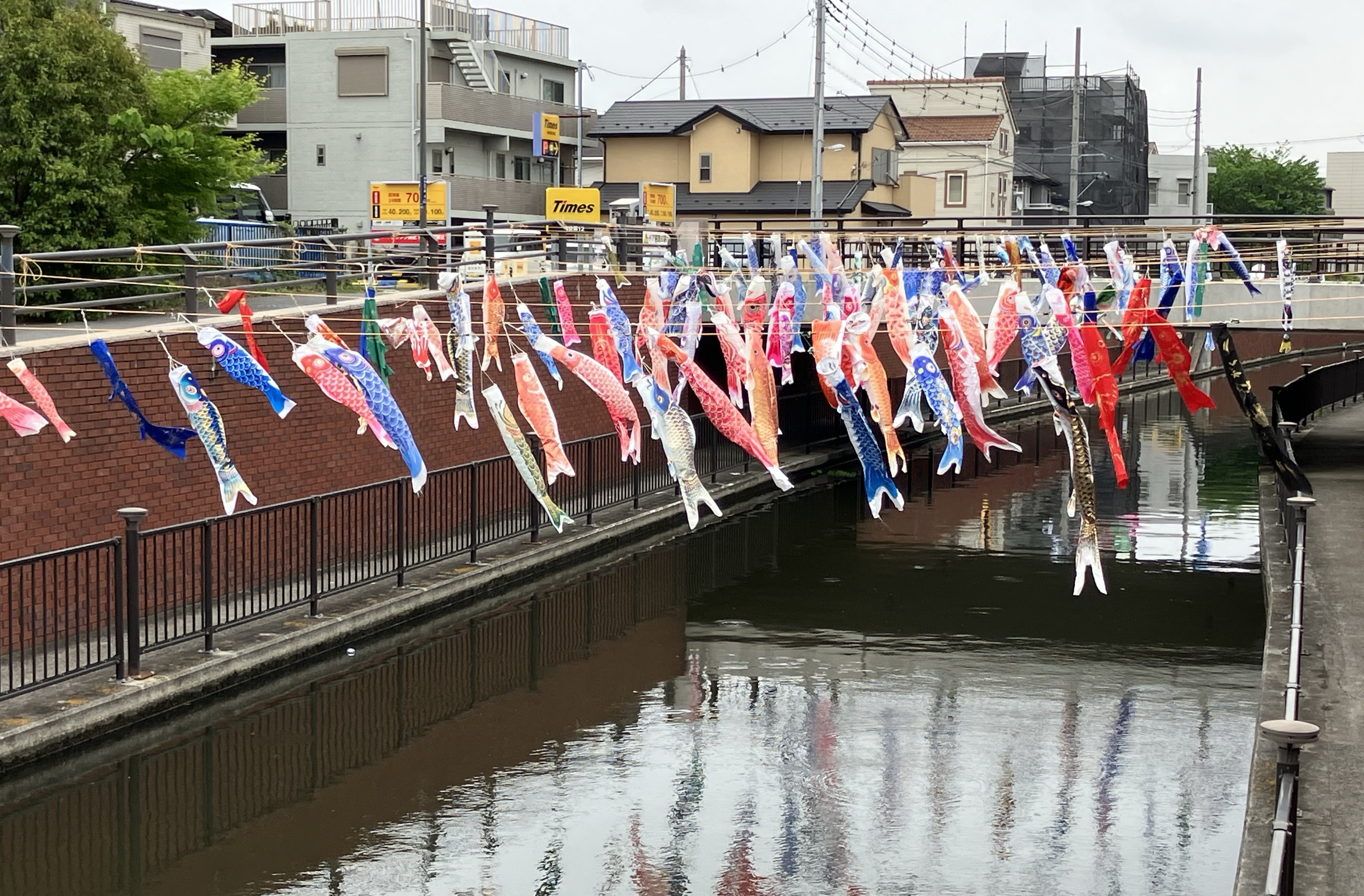 境川のこいのぼり