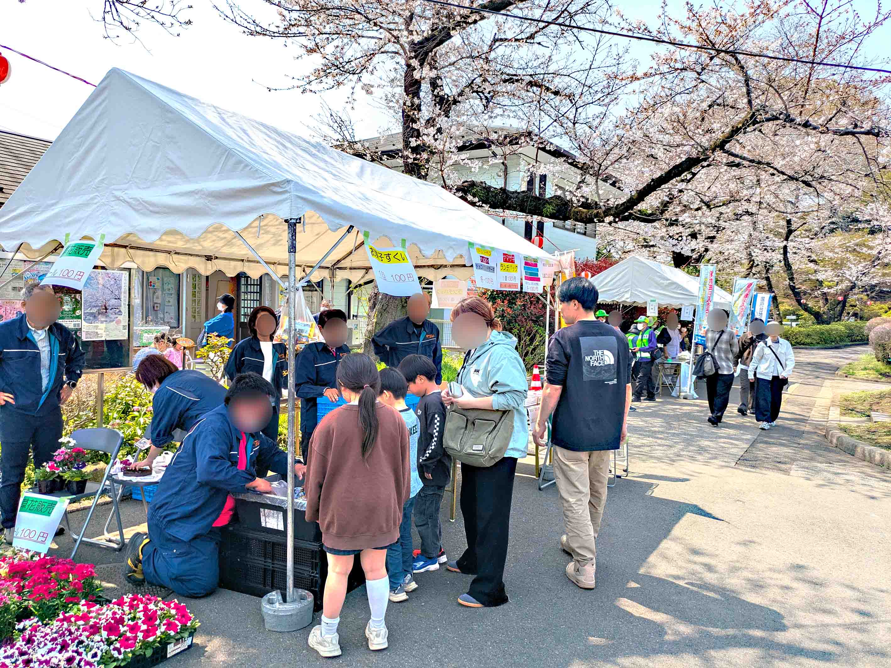 里見公園桜まつり