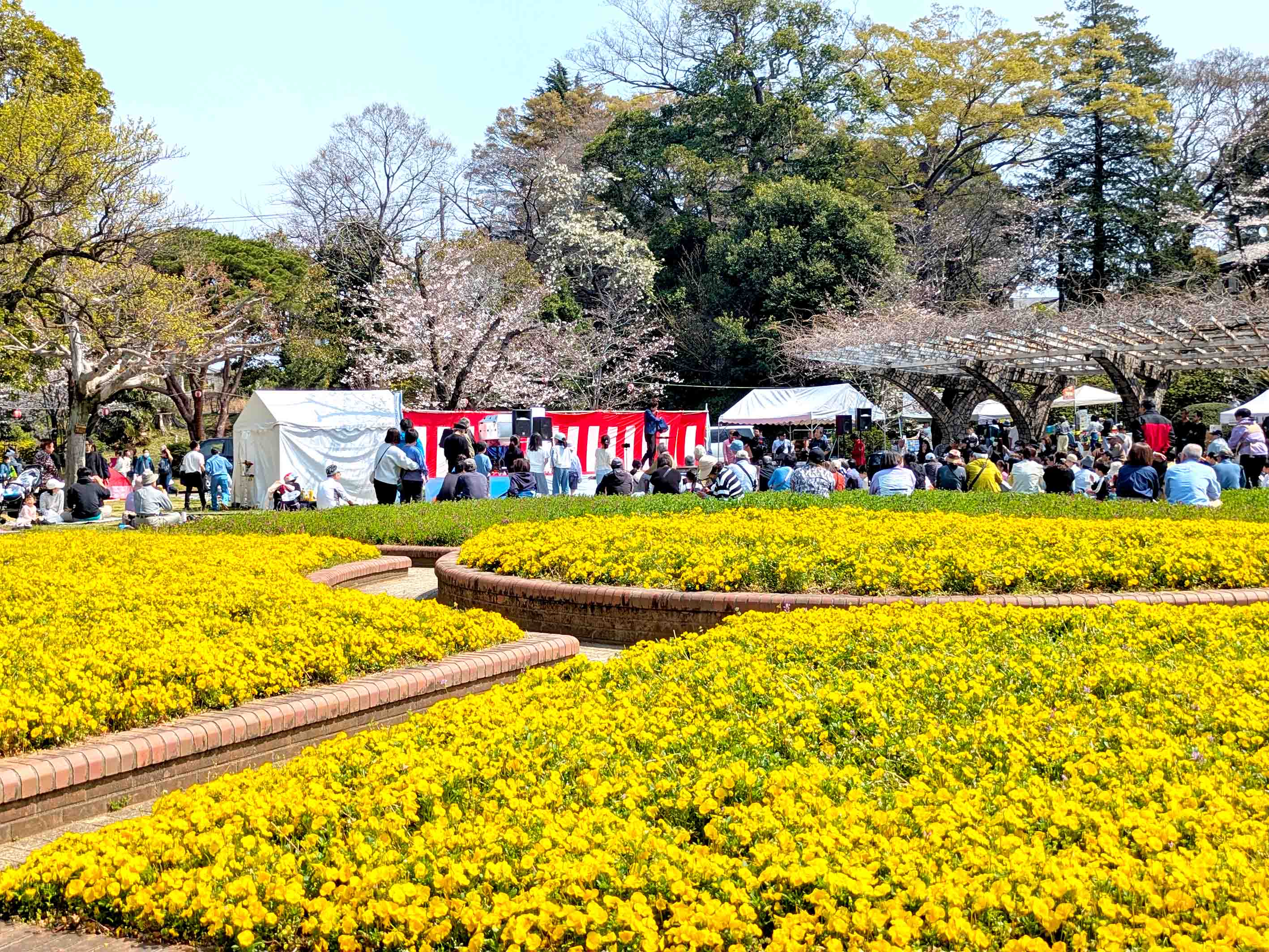 里見公園桜まつり