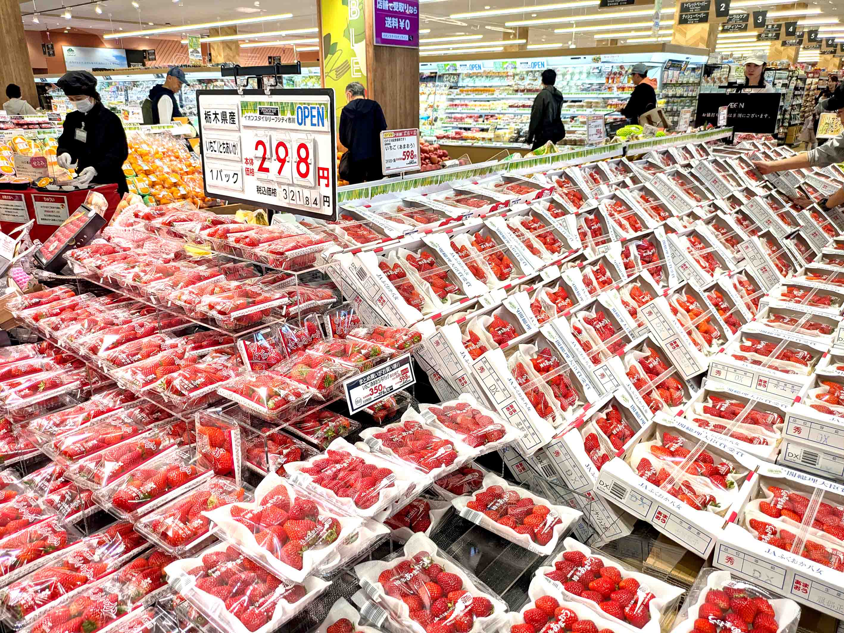 イオンスタイルリーフシティ市川店